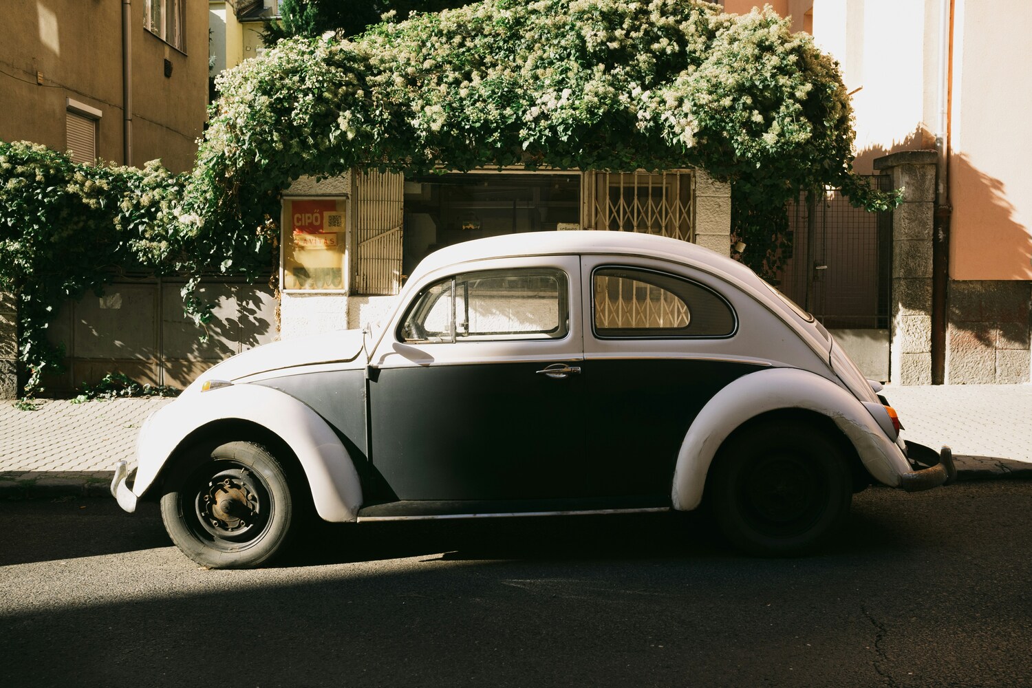 亡くなった親の車を売る手順｜相続・名義変更の必要書類と代行業者